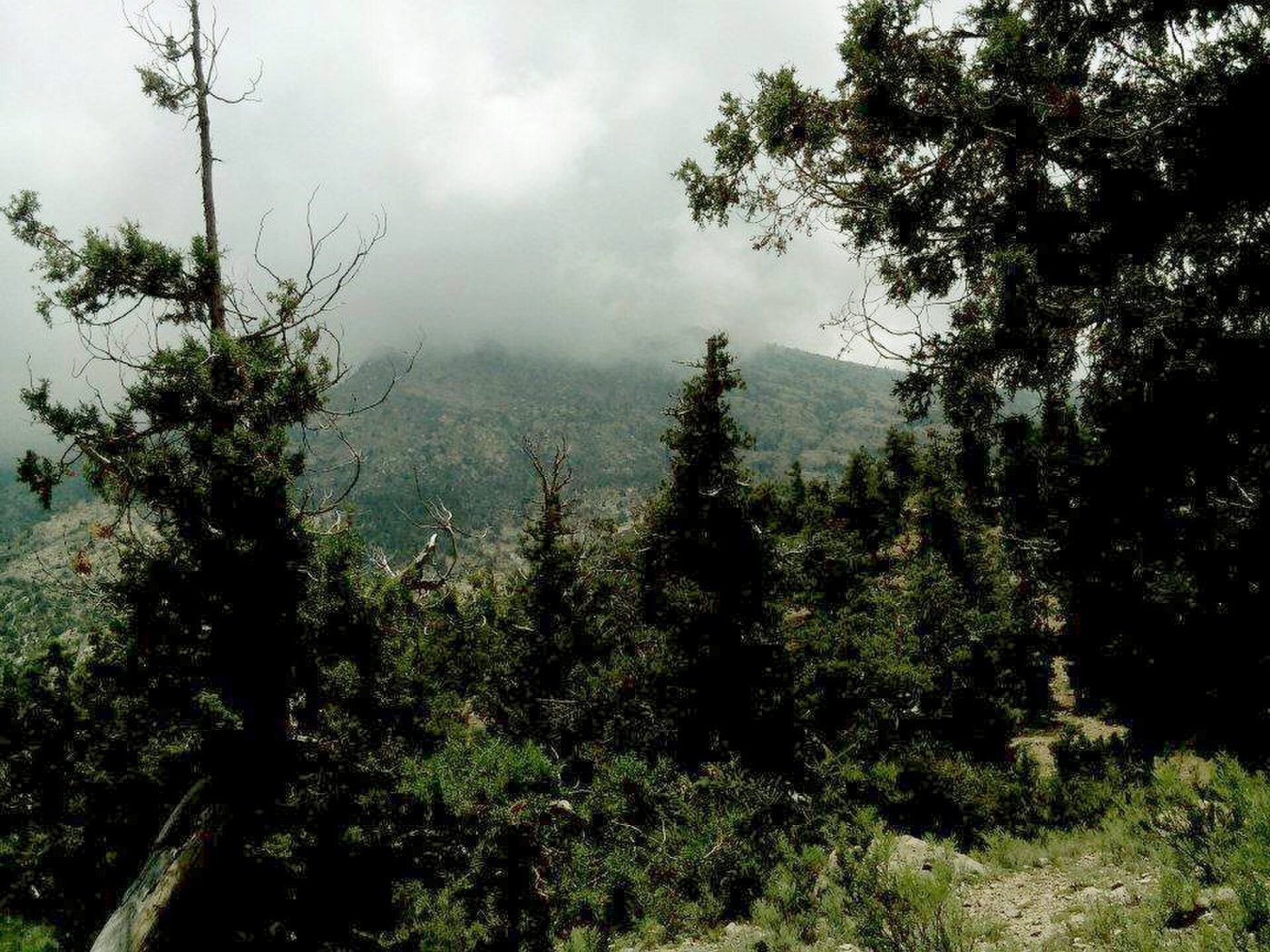 Juniper Valley Resort Ziarat